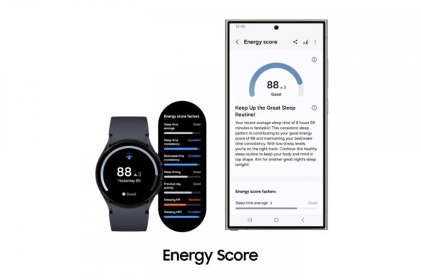 Energy Score