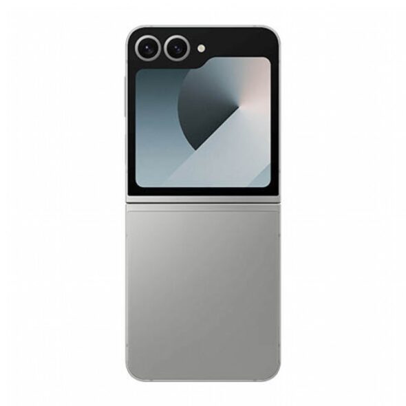 Galaxy Z Flip 6 grigio
